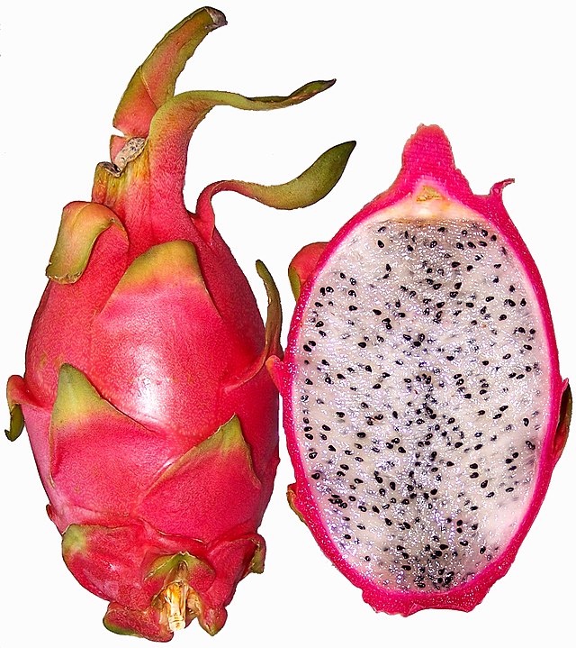 DRAGON FRUIT